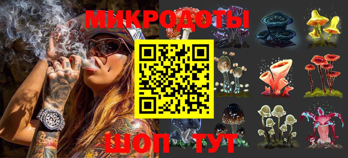 Галлюциногенные грибы мухоморы Мончегорск