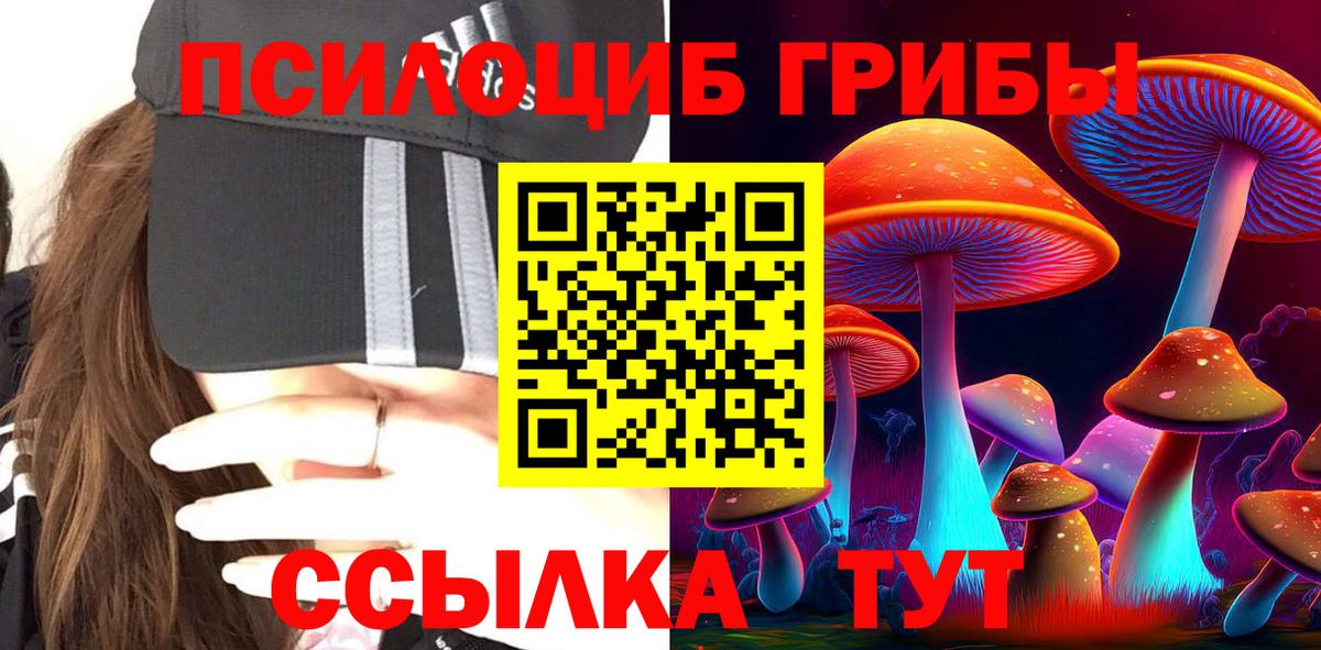 Галлюциногенные грибы Psilocybe  Вход с VPN  купить наркотики сайты  Мончегорск  Галлюциногенные грибы Psilocybe 