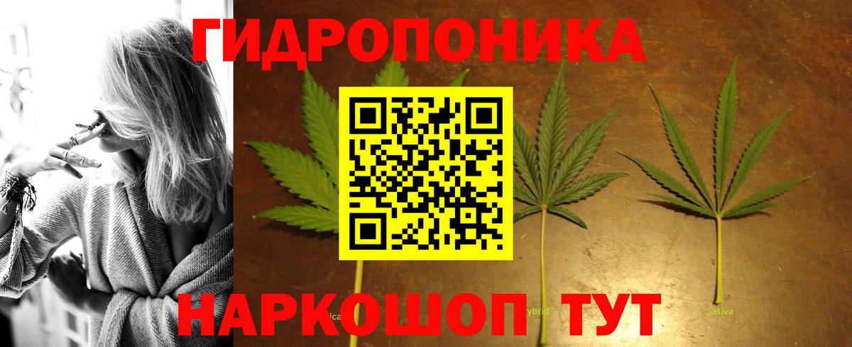 Бошки Шишки LSD WEED  Бошки Шишки планчик  Мончегорск  Вход с VPN  Канабис индика 